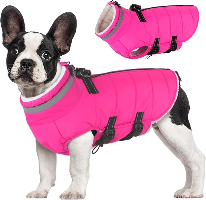 Small Dog Coat with Harness Built-in, Waterproof Reflective Fleece Lined - Warm Windproof Winter Jacket with Back Zipper, Cold Weather Snow Dog Coats - Pink - XS