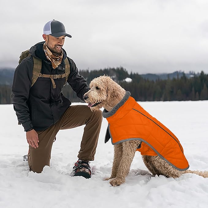 Fragralley Dog Coat Large, Waterproof Dog Jacket with Warm Fleece Lining, Adjustable Reflective Dogs Winter Coat, Turtleneck Pet Coats for Cold Weather (Orange XL)