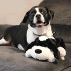 Special Edition Snuggle Puppy Toys - Heartbeat Puppy for Dogs - Pet Anxiety Relief and Calming Aid - Comfort Dog Toys for Behavioral Training in Black & White