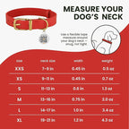 BRONZEDOG Leather Dog Collar with Metal Buckle Durable Basic Pet Collars for Small Medium Large Dogs (19-21 Inch (Pack of 1), Red & Gold Buckle)