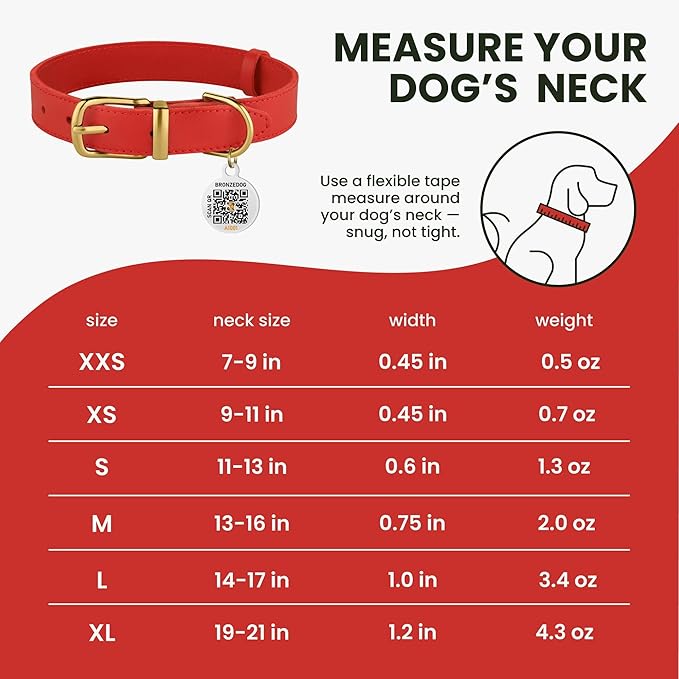 BRONZEDOG Leather Dog Collar with Metal Buckle Durable Basic Pet Collars for Small Medium Large Dogs (13-16 Inch (Pack of 1), Red & Gold Buckle)