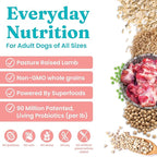 Solid Gold Lamb Dog Food Dry for Adult & Senior Dogs– High Protein Healthy Dog Kibble for Medium & Large Breeds – Whole Grain, Omega 3 & Digestive Probiotics for Gut Health & Everyday Nutrition – 4 LB