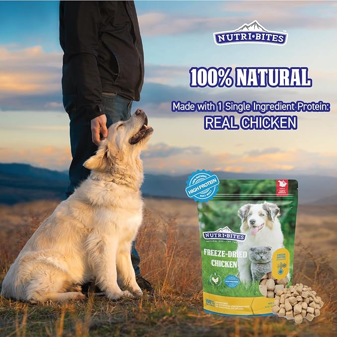 Nutri Bites Freeze Dried Chicken Dog & Cat Treats, 4 oz | Healthy Pet Training Treats or Food Topper | All Natural, 1 Single Animal Protein, High Protein (Pack of 2)