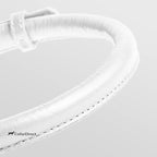 CollarDirect Rolled Leather Dog Collar, Soft Padded Round Puppy Collar, Handmade Genuine Leather Collar Dog Small Large Cat Collars 13 Colors (6-7 Inch, White Textured)