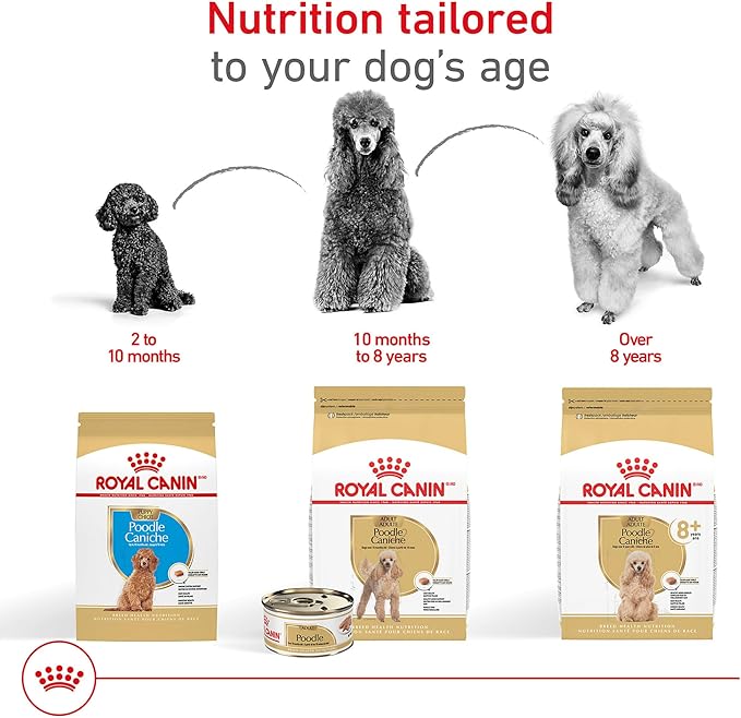 Royal Canin Breed Health Nutrition Poodle Adult Dry Dog Food, 2.5 lb Bag
