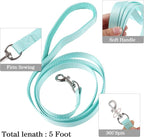 YIMEIS Dog Harness and Leash Set, No Pull Soft Mesh Pet Harness, Reflective Adjustable Puppy Vest for Small Medium Large Dogs, Cats (Tiffany Blue, Small (Pack of 1)