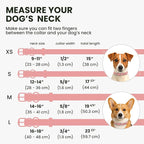 BRONZEDOG Rolled Leather Dog Collar for Small Medium Large Dogs with QR ID Tag (S: 12-14 Inch, Powder Pink)