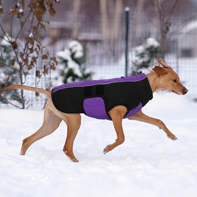 Kuoser Dog Jacket, Winter Dog Coats for Medium Dogs, Reflective Doggie Cold Weather Coats Pet Clothes, Puppy Snow Jacket for Frech Bulldog, Boston Terrier, Purple L