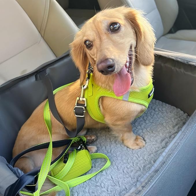 Best Pet Supplies Voyager Step-in Air Harness - All Weather Mesh, Reflective, No Pull Harness for Dogs, Cats - Secure with Hook & Loop Fastener, Buckle, Double D-Rings - Lime Green, M