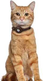 OOPSDOGGY Leather AirTag Cat Collar with Bell - Non Breakaway Kitten Collar with Apple Air Tag Holder - Lightweight GPS Pet Collars for Girl Boy Cats, Small Dogs, Puppies (Dark Brown)