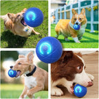 2025 New Dog Ball for Large Dogs, 2PCS Interactive Dog Ball Toy Vibrating Balls, Smart Shaking Pet Bounce Electric Balls Automatic Moving Pet Toy for All Dogs (A1+A2)