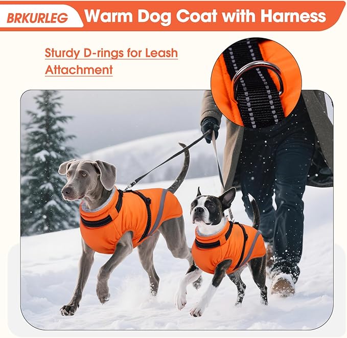 BRKURLEG Dog Winter Jackets for Medium Dogs, Dog Coat with Harness Built in, Dogs Snowsuits with Zipper, Waterproof Windproof Pet Puffer Jacket Fleece Vest for Pug, French Bulldog, Orange M