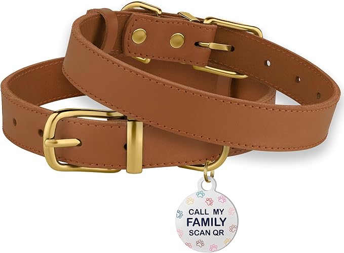 BRONZEDOG Leather Dog Collar with QR ID Tag Basic Pet Collars for Small Mini Dogs Cats Puppies (9-11 Inch (Pack of 1), Light Brown & Gold Buckle)