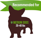 Buck Bone Organics Dog Chews, Antlers for Dogs, Premium Natural Elk, Long Lasting Dog Bones for Aggressive Chewers, No Preservatives, Wild Shed in The USA Medium