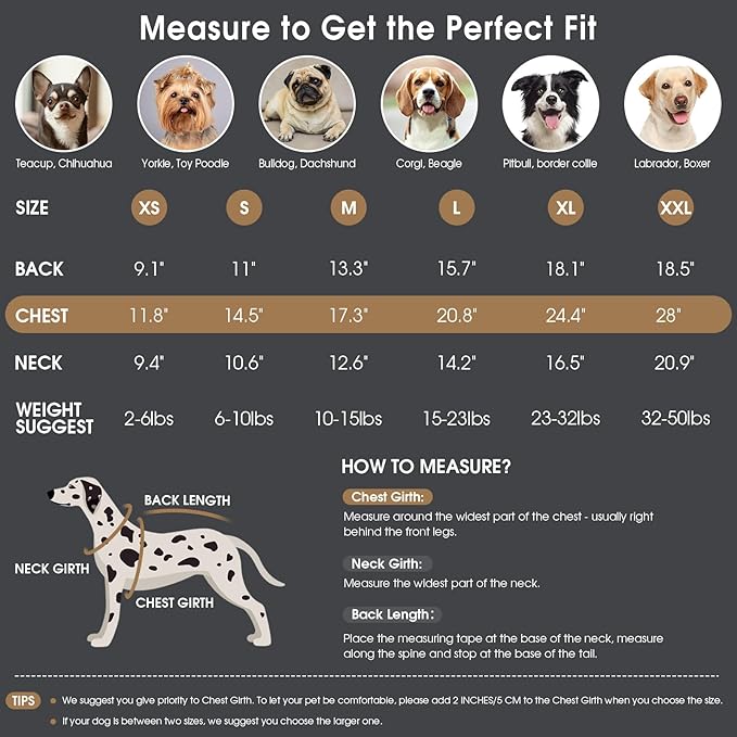 Queenmore XL Dog Sweater,Large Sized Dog Sweater for Male/Female,Soft Warm Turtleneck Pullover Knitwear for Boy/Girl Doggies,Winter Dog Coat for Golden Retriever/Border Collie - Grey,XL