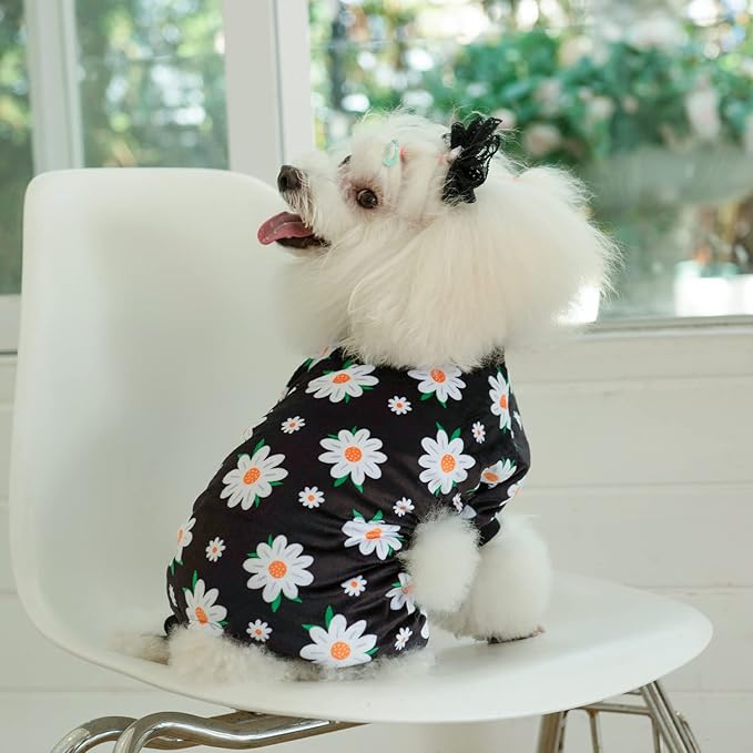 CuteBone Small Dogs Outfit Soft Puppy Onesies Pjs Dog Pajamas Pet Coat Cat Apparel Comfy Doggie Jumpsuit Bodysuit for All Seasons P221M