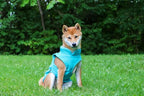 JACKO & CO - Fleece Vest Dog Sweater with Leash Ring - Soft, Warm & Lightweight Pullover Coat for Small & Medium Dogs, Puppies & Cats - Cozy Fall/Winter/Spring Pet Jacket (Turquoise, XXL 25-35lbs)