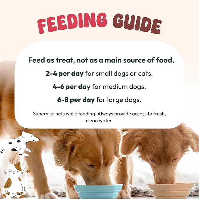 Freeze-Dried Chicken Necks for Dogs & Cats, Single Ingredient, High Protein Dog Treat, Regeneratively Raised Poultry, Grain-Free, No Additives, Supports Dental & Joint Health, 9 oz