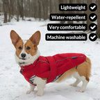 DJANGO Dog Jacket & Raincoat – Lightweight Water-Resistant Coat for Small, Medium, Long Dogs, Dachshunds – Reflective, Adjustable Fit, Harness-Compatible Easy-Access Harness Hole - Lilac Purple Medium