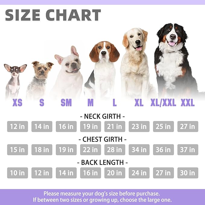 KOOLTAIL Basic Dog Hoodie - Soft & Warm Dog Hoodie Sweater with Leash Hole and Pocket, Pet Winter Coat, Cold Weather Clothes Sweatshirt for Small Medium Large Dogs Puppy Cat Boys Girls Lavender M