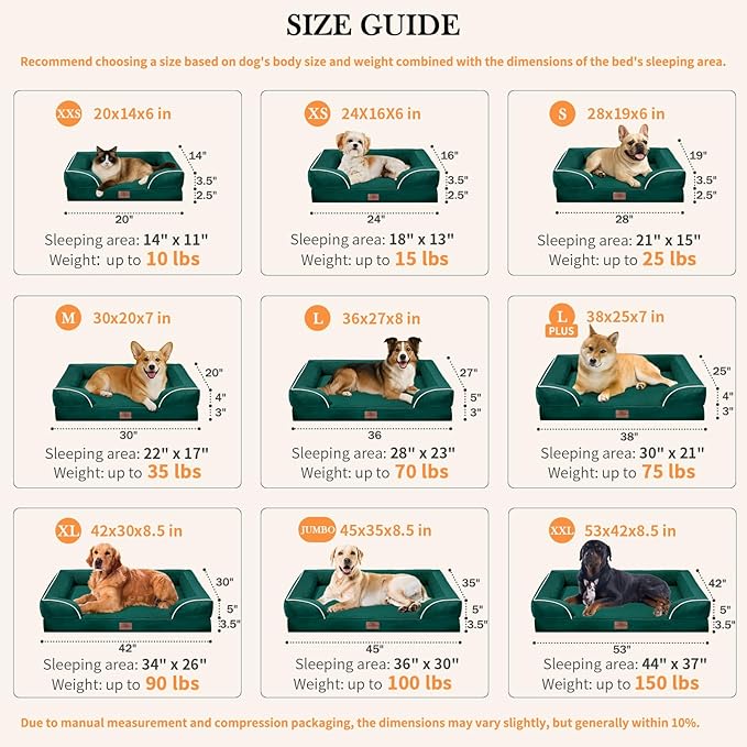 Comfort Expression Orthopedic Dog Bed for Small Dogs 24x16 Inch, Waterproof Supportive Egg Crate Foam Small Pet Bed with Removable Bolsters, Dog Couch with Washable Cover & Non-Slip Bottom, Emerald