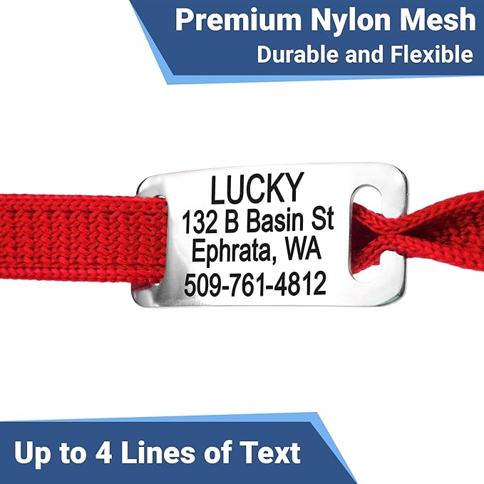 GoTags Reflective Cat Collars with Personalized Tag, Breakaway Collar with Safety Buckle Matching Bell, Engraved Custom with Name and Phone, Adjustable for Cats and Kitten, (Blue with Nameplate)