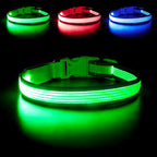 YFbrite Full Adjustbale LED Dog Collar, Full Illuminated Light up Dog Collars, Reflective Dog Collar Light Glowing in The Dark for All Dogs Safety (Small, Green-2)