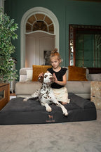 NOAH & PAW XL Dog Bed, 45x35x9.1 Inch, Orthopedic Large Dog Beds, Eggshell Memory Foam Infused with Cooling Gel, Waterproof, Machine Washable, Includes Inner Cover (Faux Leather)