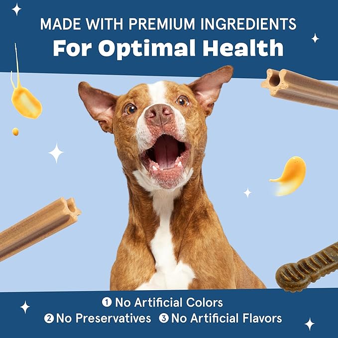 Barkbox Bright Durable Dental Kit, Berry Mint Flavored, 15 Chew Sticks & Toothpaste - Small Breeds