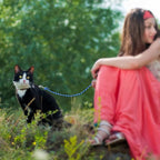 Rypet Reflective Cat Long Leash 15 FT Escape Proof Walking Leads Yard Long Leashes Durable Safe Personalized Extender Leashs Traning Play Outdoor for Kitten, Puppy, Rabbit and Small Animals