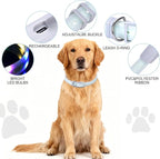 Lighted Dog Collar, Rechargeable Light Up Pet Collar, Waterproof LED Dog Collar Glow in The Dark, Make Pet Visible and Safety for Night Walking for Small Medium Large Dogs (Red)