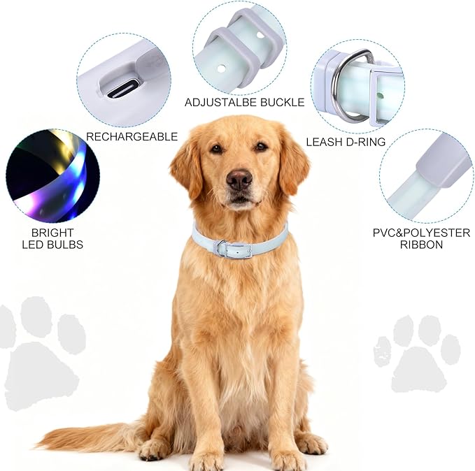 Lighted Dog Collar, Rechargeable Light Up Pet Collar, Waterproof LED Dog Collar Glow in The Dark, Make Pet Visible and Safety for Night Walking for Small Medium Large Dogs (Rainbow)
