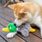 Best Pet Supplies Interactive Squeaky Dog Chew Toy, Ideal Dog Toys for Chewers, Small, Medium & Large Dogs, and Fetch Lovers - Mallard Duck (Gray), Large