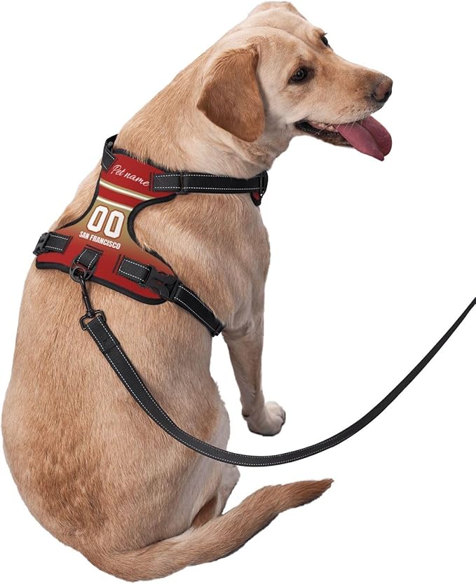 Custom San Francisco Dog Harness with Reflective Stripes Personalized Name and Number Dog Vest Harness with Pet Traction Rope for Small Medium Large Dog