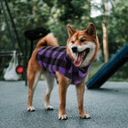 ASENKU Dog Sweater - Plaid Fleece Vest, Soft Comfortable Pet Pajamas, Warm Winter Shirt, Cold Weather Coat Jacket for Small & Medium Breeds