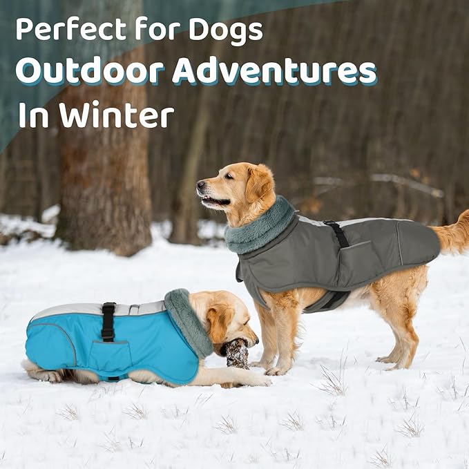 Queenmore Dog Cold Weather Coats, Fleece Collar Dog Apparel for Cold Weather, Pet Snowsuit, Cozy Winter Jackets for Large Breeds with Quick Release, Blue, XXL