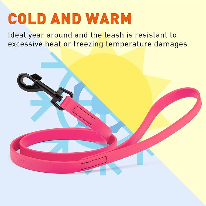 Dogline Biothane Waterproof 6ft Dog Leash Strong Coated Nylon Webbing with Black Hardware Odor-Proof Easy to Clean High Performance for Small or Large Dogs Made in USA 6ft Lead, Passionfruit Pink