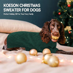 KOESON XL Dog Sweater for Large Size Dogs, Turtleneck Extra Large Sweater for Dogs Girl Boy, Warm Large Dog Sweaters for Christmas, Soft Doggie Winter Knitwear with Sleeves, Green, XLarge