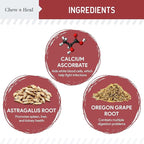 Dog UTI Treatment Cranberry Supplement for Dogs, 120 Soft Chews - Natural Urinary Tract Infection Support and Healthy Bladder Control – Made with Echinacea and Vitamin C