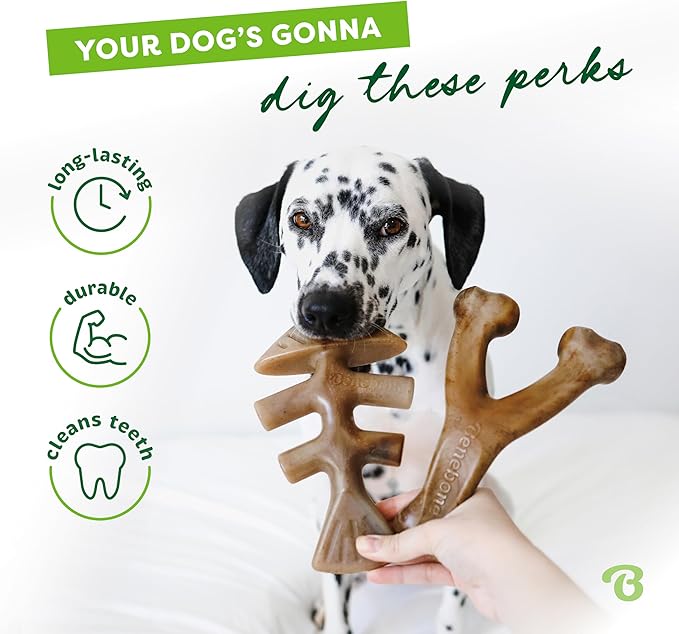 Benebone 2-pack Fishbone/Wishbone Durable Dog Chew Toys, Real Fish, Real Bacon, Made in USA, Large