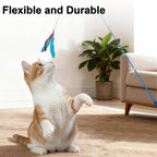 Walfront Cat Toys for Indoor Cats, 12PCS Kitten Toy Set with 2 Retractable Wands & Interactive Feather Teasers, Fun Chase and Exercise Toys to Keep Cats Active and Healthy