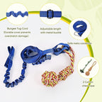 Outdoor Dog Bungee Tug Toy,Interactive Tug of War Toy for Small/Medium/Large Dogs,Tree Tuggerr Toys，Hanging from Tree Toy for Exercise Solo Play (Large)