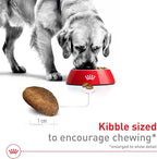 Royal Canin Size Health Nutrition Large Adult Dry Dog Food, 4 lb Bag