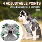 BARKBAY Dog Harness, Reflective Adjustable No Pull Harness, Breathable Soft, Grey, XXS