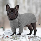 IECOii Dachshund Sweater,Turtleneck Dog Sweater for Small Medium Dogs Girl,Stretchy & Breathable,Warm Knitted Pullover Coat,High Neck Knitwear for Cold Weather Indoor & Outdoor Wear (Light Grey, M)