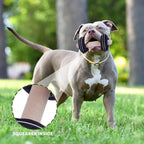 MFC®️Dog Dumbbell | Fun Squeaker Toy | Sports Dog Chew Toy | Durable Toys for Puppies and Adults | Dumbbell with Soft and Safe Material