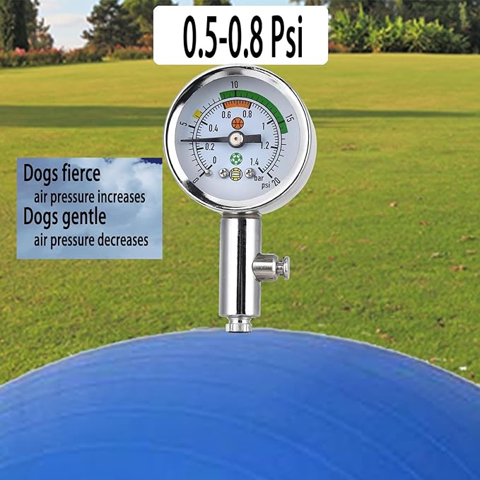 Herding Ball for Dogs:25 inch