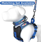 Pawtitas 6 FT Padded Dog Leash with Comfortable Neoprene Padding Handle - Blue Lead | Medium Reflective Dog Leash with Highly Reflective Band Perfect for Medium and Large Dogs and Puppies.