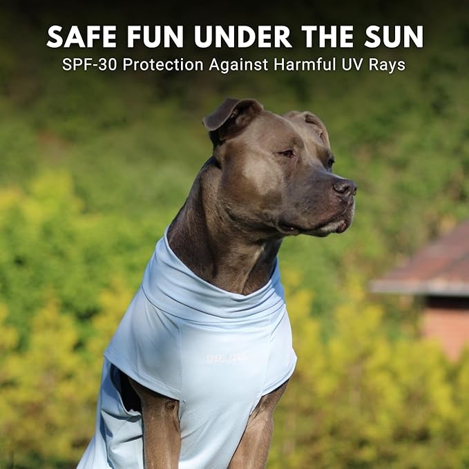 Spark Paws Sunblock Dog T-Shirt, SPF30 Protection, Lightweight Breathable Quick Dry for Dogs with Sensitive Skin - Blue & Mint (Set of 2) - 5XL