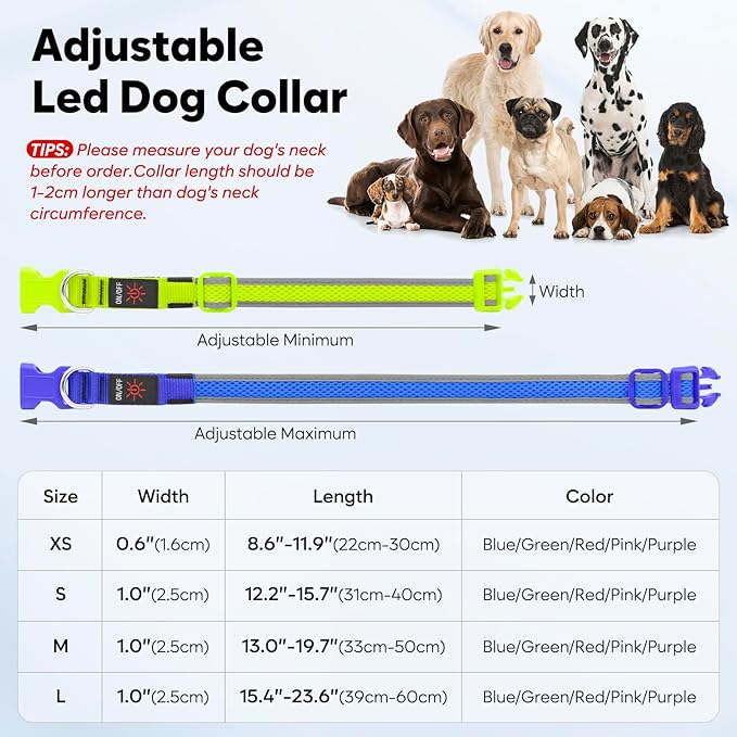 Flashseen LED Dog Collar, Light Up Dog Collar USB Rechargeable, Brightest Dog Lights for Night Walking, Adjustable Dog Collar Light for Dog Safety(Medium, Royal Blue)